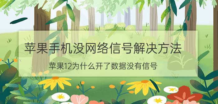 苹果手机没网络信号解决方法 苹果12为什么开了数据没有信号？